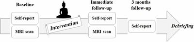 The Immediate and Sustained Positive Effects of Meditation on Resilience Are Mediated by Changes in the Resting Brain